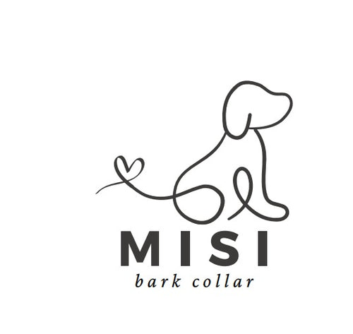 Misi Bark